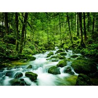 4 Tage Natur | Ruhe | Entspannung | Genussmomente in Bonndorf im Schwarzwald, Baden-Württemberg inkl. Halbpension Unkategorisiert Produktbild 4 Tage Natur | Ruhe | Entspannung | Genussmomente in Bonndorf im Schwarzwald, Baden-Württemberg inkl. Halbpension Unkategorisiert Produktbild